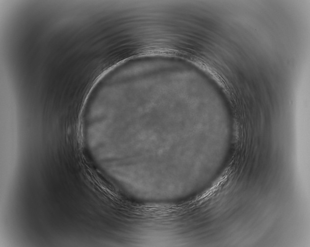 X0000095930830200802081215
