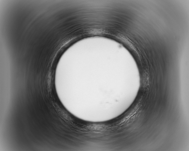 X0000095930831200802081215
