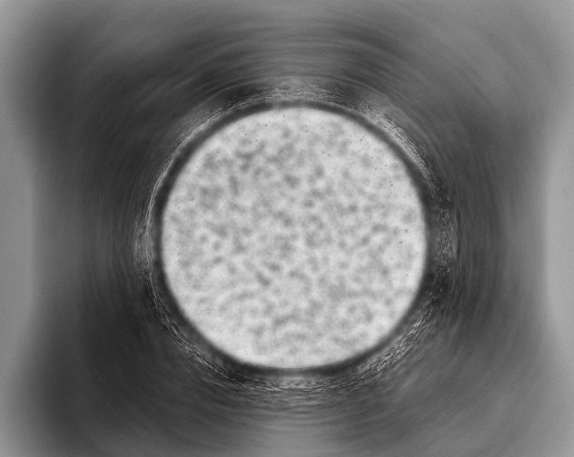 X0000095930832200802081215