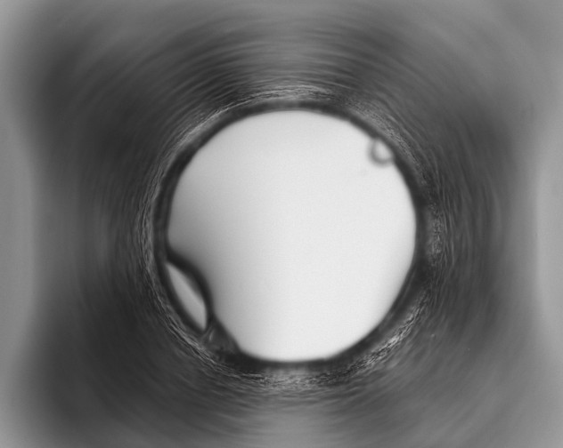 X0000095930834200802081215