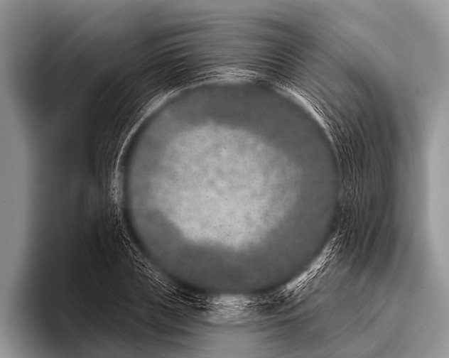 X0000095930835200802081215