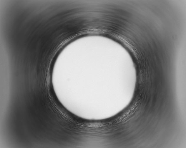 X0000095930837200802081215