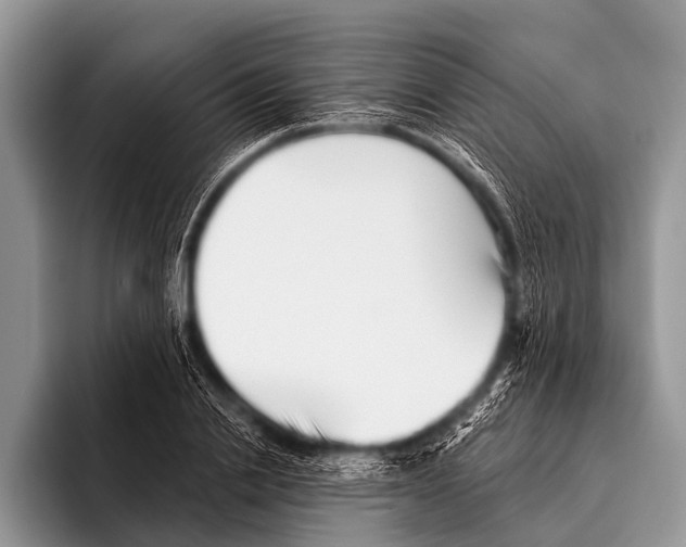 X0000095930838200802081215