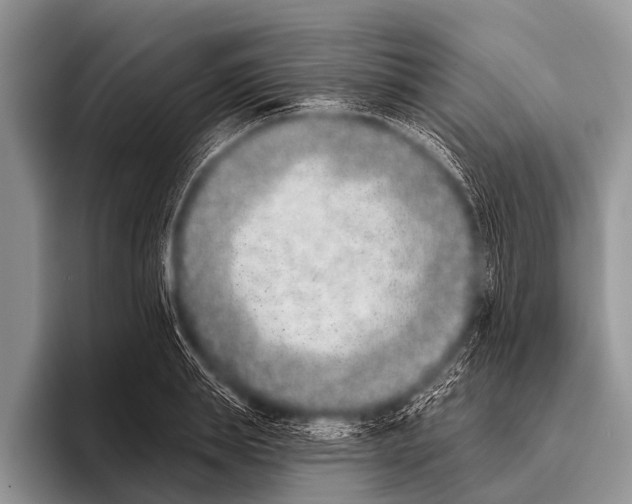 X0000095930839200802081215