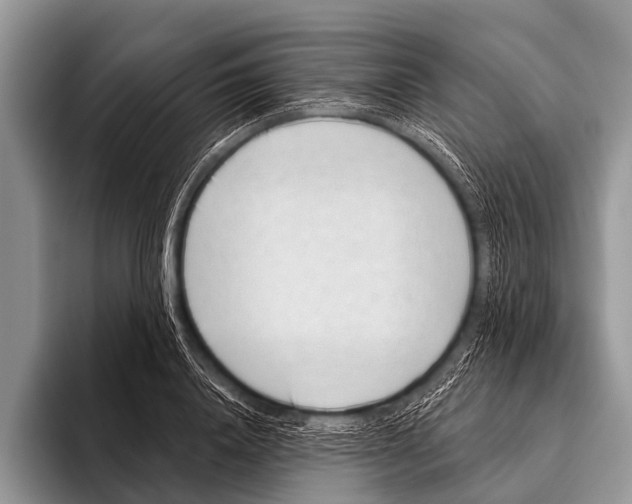X0000095930840200802081215