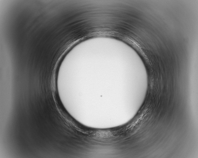 X0000095930844200802081215