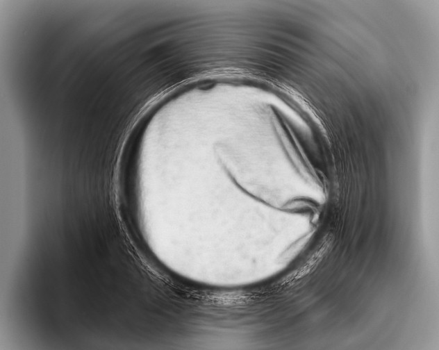 X0000095930845200802081215