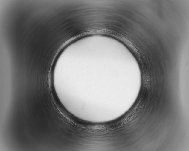 X0000095930846200802081215
