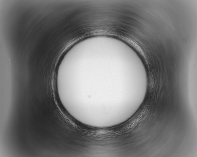 X0000095930847200802081215