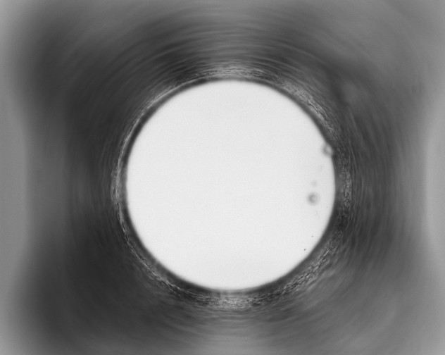 X0000095930848200802081215