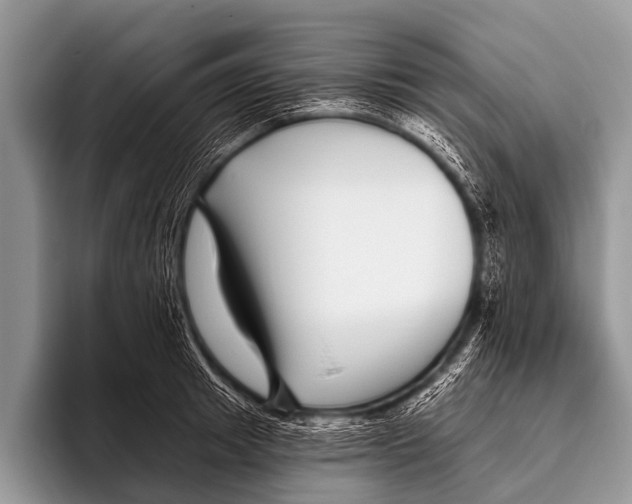 X0000095930849200802081215