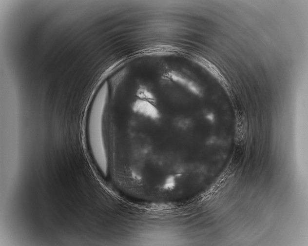 X0000095930850200802081215