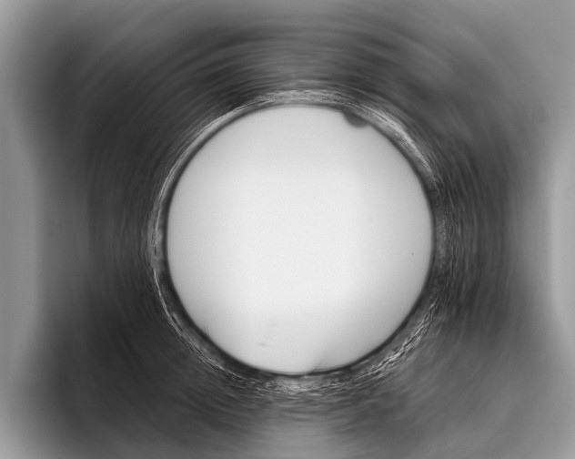 X0000095930852200802081215