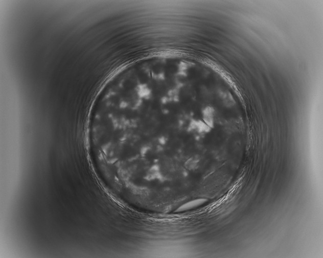 X0000095930853200802081215