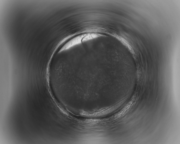 X0000095930854200802081215