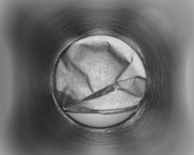 X0000095930855200802081215