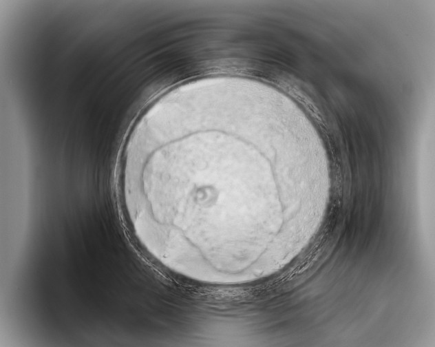 X0000095930856200802081215
