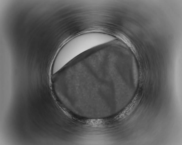 X0000095930858200802081215