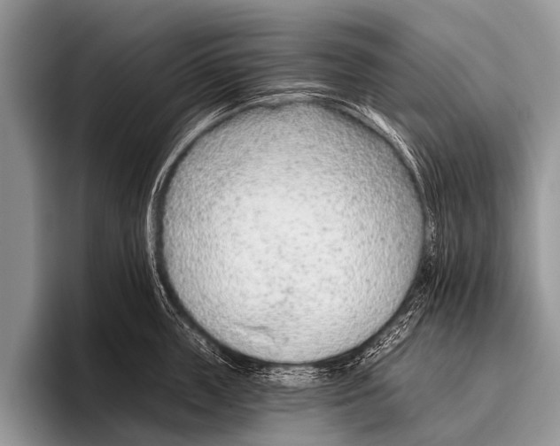 X0000095930859200802081215