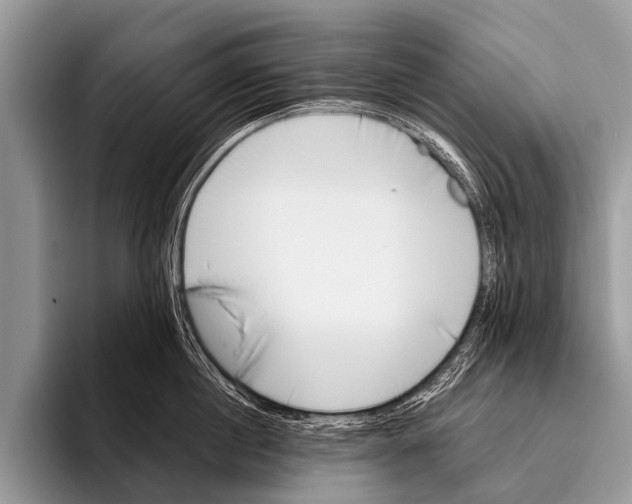 X0000095930860200802081215