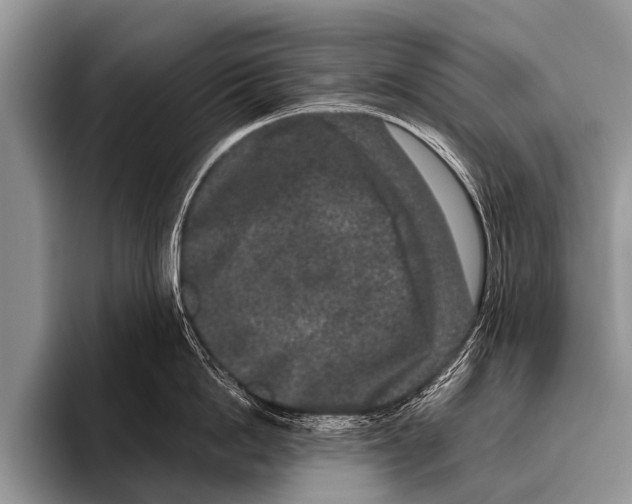 X0000095930862200802081215