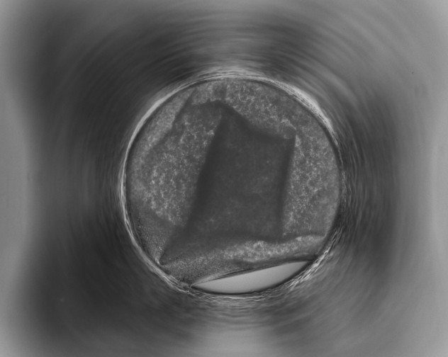X0000095930863200802081215