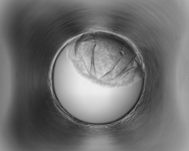 X0000095930864200802081215