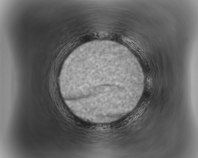 X0000095930865200802081214