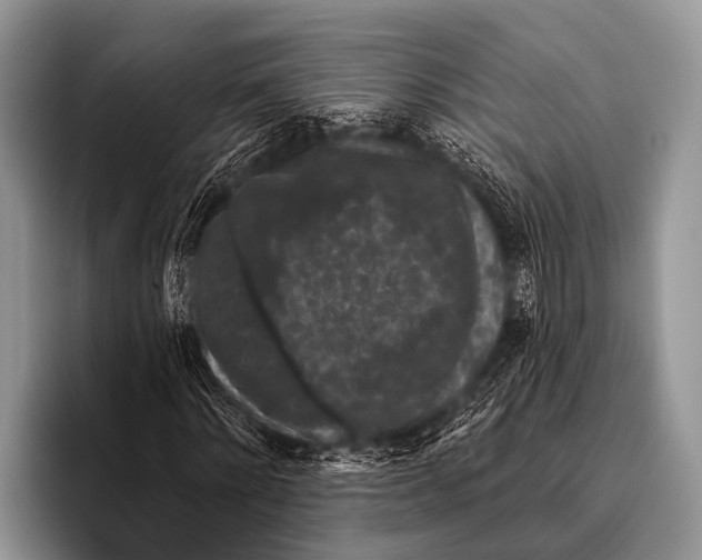 X0000095930868200802081214
