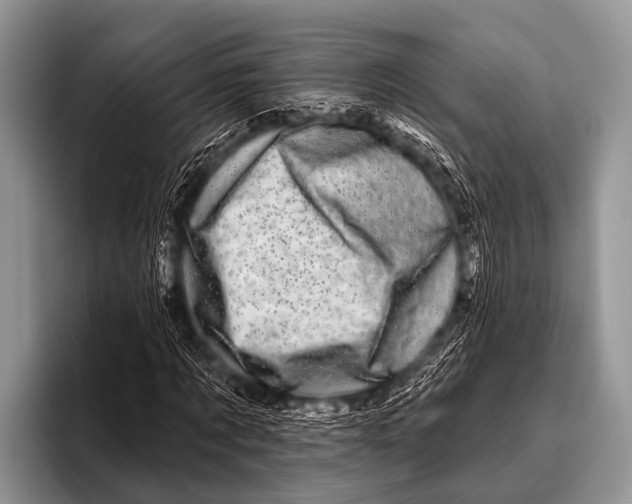 X0000095930869200802081214