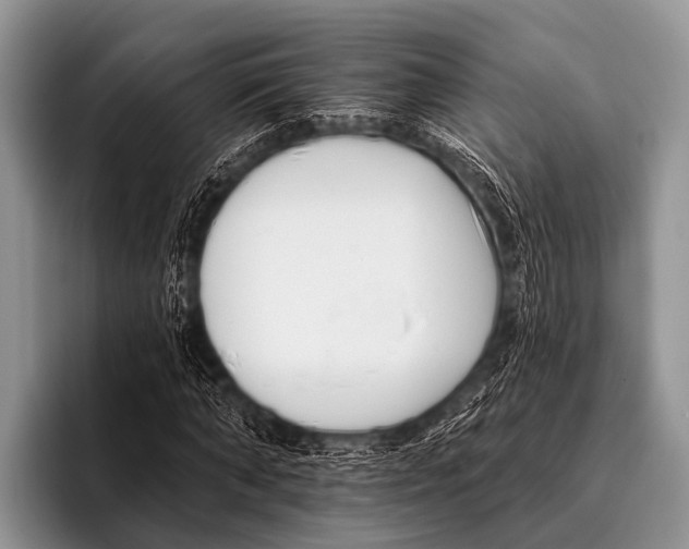 X0000095930870200802081214