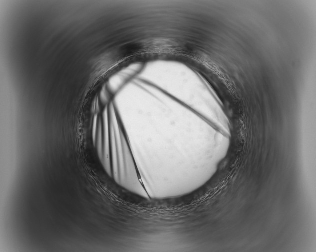 X0000095930872200802081214