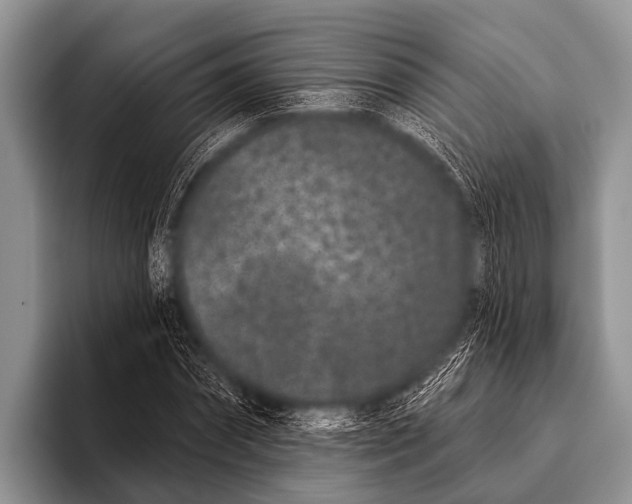X0000095930874200802081214