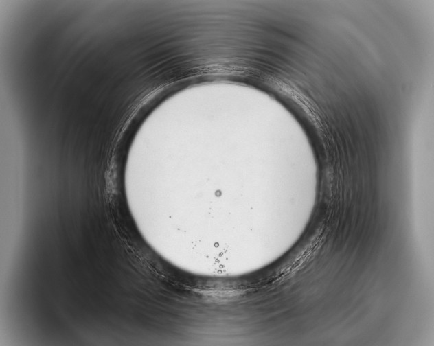 X0000095930875200802081214