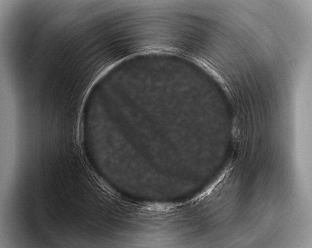 X0000095930877200802081214