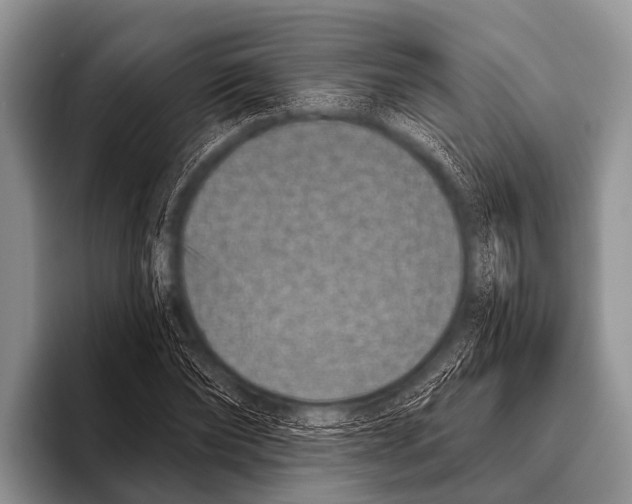 X0000095930878200802081214