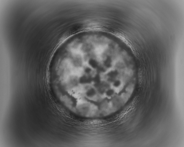 X0000095930879200802081214