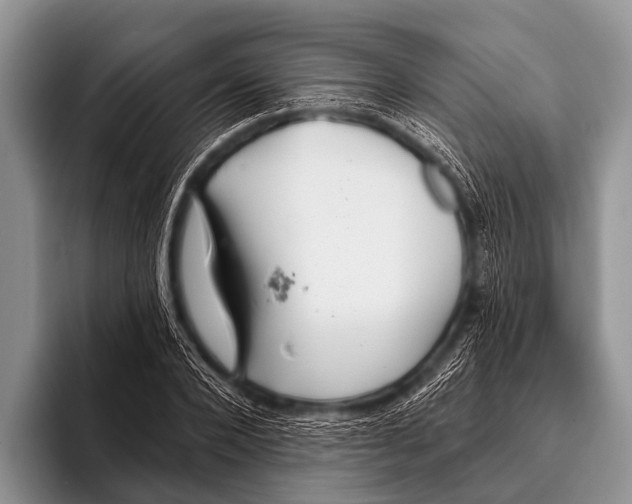 X0000095930880200802081214