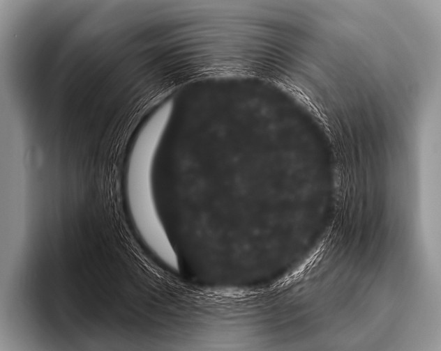 X0000095930881200802081214
