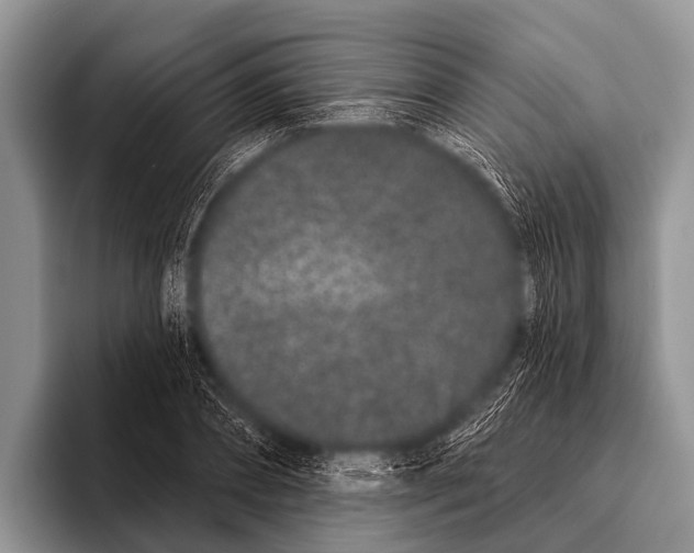 X0000095930882200802081214