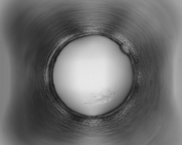 X0000095930884200802081214
