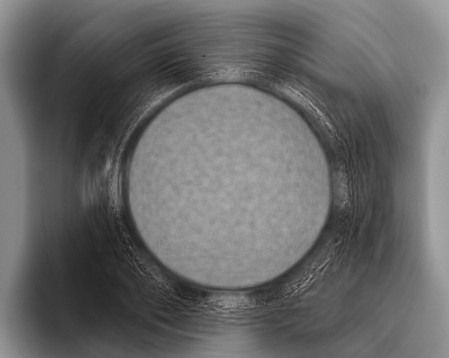 X0000095930886200802081214
