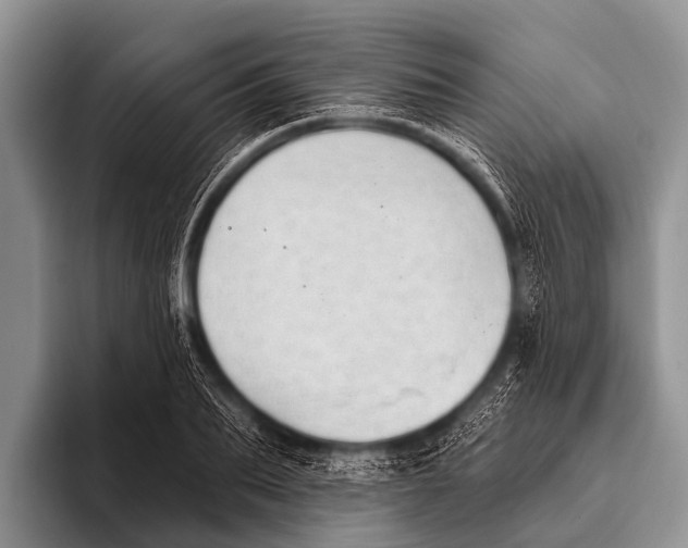 X0000095930887200802081214