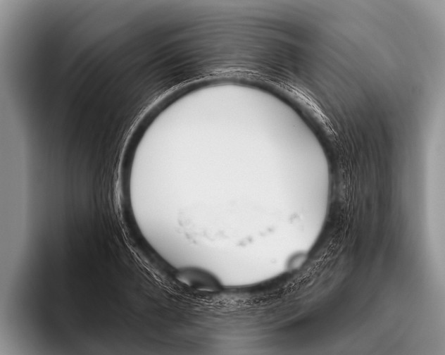 X0000095930888200802081214