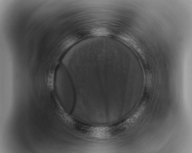 X0000095930889200802081214