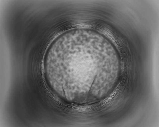 X0000095930891200802081214