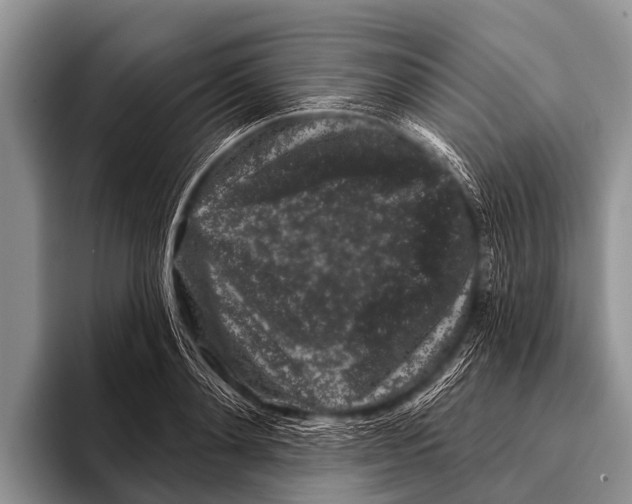 X0000095930892200802081214