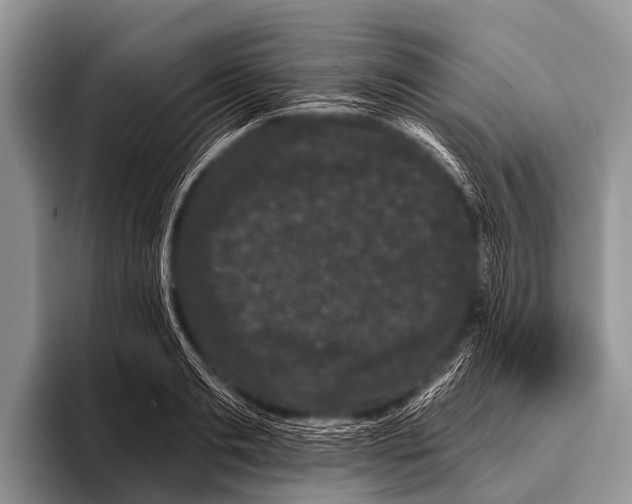 X0000095930893200802081214