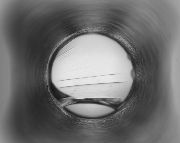 X0000095930894200802081214
