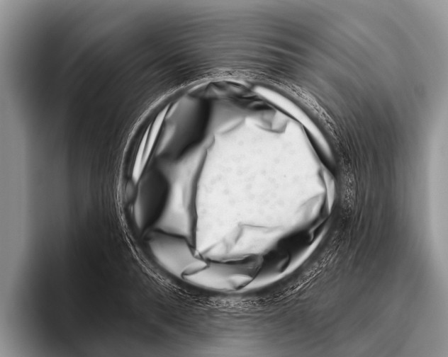X0000095930896200802081214